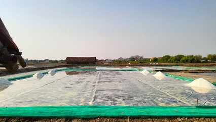 A farmer produces salt manually by evaporating seawater in shallow ponds. This traditional method, involving natural sun and wind, yields high-quality salt crystals prized for their purity.