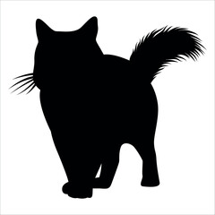 Animal Cat Silhouette vector illustration
