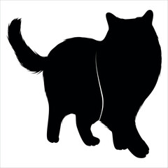 Animal Cat Silhouette vector illustration
