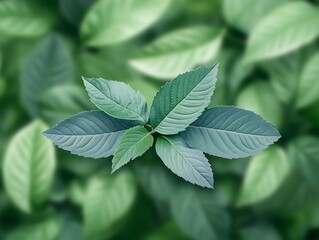 Vibrant green leaves softly lit create serene nature scene. AI Generated