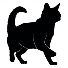 Animal Cat Silhouette vector illustration