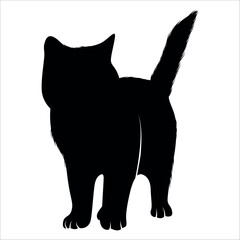 Animal Cat Silhouette vector illustration