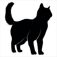 Animal Cat Silhouette vector illustration
