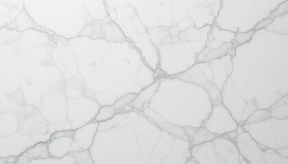 White Marble Surface with Gray Veining 