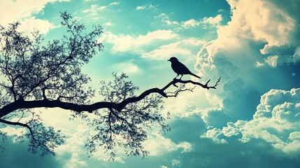 Obraz premium Silhouette of a Bird Perched on a Tree Branch Against a Blue Sky