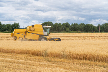 Fototapeta premium Yellow agricultural combine harvesting a field of ripe oats in autumn. Green trees and sky with textured clouds are visible. Background. Landscape.