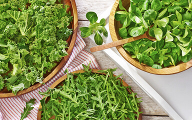 Świeże zioła sałatkowe: jarmuż, rukola i roszponka © Jolaya