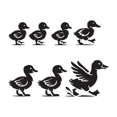 Ducklings in a line silhouette vector illustration black color design and solid white background