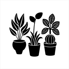 plants vector silhouette design