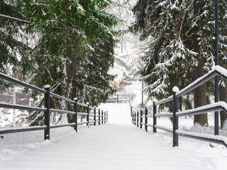 A snow-covered staircase surrounded by snow-covered fir trees. In the distance, a majestic...