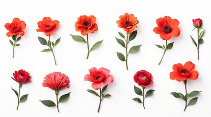 Naklejka premium Collection Of Various Red-Flowered Design Element Flowers, Isolated On A White Background