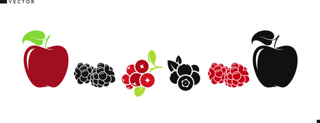 Fresh berries with fruit vector. Isolated apples raspberry blackberry blueberry cranberry and berry with leaves. Organic fruit illustration