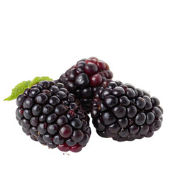sweet blackberries on transparent background