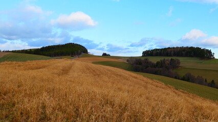 Bucklige Welt, Felder in Winterruhe
