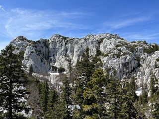 Strict reserve of rocky limestone peaks Hajducki and Rozanski kukovi - Northern Velebit National Park, Croatia (Strogi rezervat Hajdučki i Rožanski kukovi - Nacionalni park Sjeverni Velebit, Hrvatska)