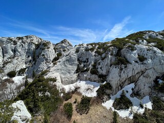 Strict reserve of rocky limestone peaks Hajducki and Rozanski kukovi - Northern Velebit National Park, Croatia (Strogi rezervat Hajdučki i Rožanski kukovi - Nacionalni park Sjeverni Velebit, Hrvatska)
