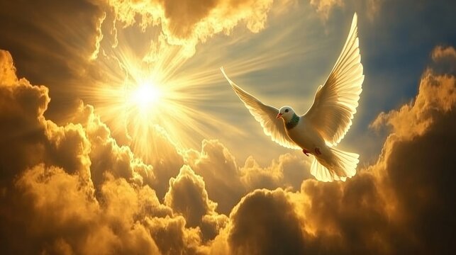 Heavenly Flight: A Bird Soaring Through Sunbeams with Clouds Radiating Silver Linings in a Blue Sky
