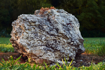 solidified basalt lava