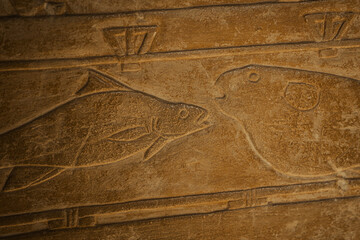 Egyptian hieroglyphs and paintings on the walls of Egyptian ancient temples