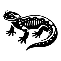 Obraz premium Simple Vector Icon of a Alpine Salamander – Logo Design Illustration