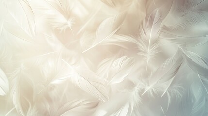 Fototapeta premium Serene White Feathers: A Soft, Dreamy Feather Photography