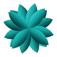 lotus flower isolated on white background