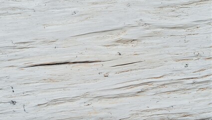 Polished silvery gray river driftwood with flowing grain patterns and organic curves