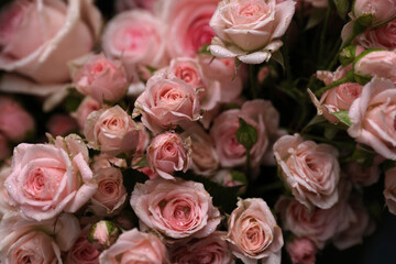 bunch of roses