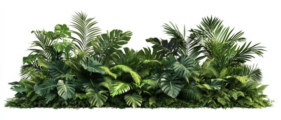 lush green foliage with various tropical plants
