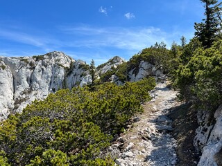 Premuzic hiking trail or Premuzic Trail - Northern Velebit National Park, Croatia or Premuzic-Wanderweg or Premuzic's Trail (Pješački planinarski put Premužićeva staza - NP Sjeverni Velebit, Hrvatska)