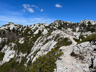 Premuzic hiking trail or Premuzic Trail - Northern Velebit National Park, Croatia or Premuzic-Wanderweg or Premuzic's Trail (Pješački planinarski put Premužićeva staza - NP Sjeverni Velebit, Hrvatska)