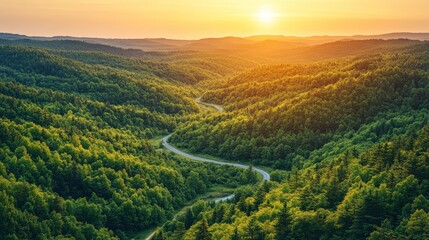 Fototapeta premium Serene Forest Valley at Sunset with Winding Road - Perfect for Nature Retreats