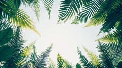 Lush green tropical foliage surrounds a bright sky, creating a natural frame.