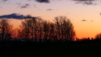 Baumsilhouetten in der Morgensonne, Bucklige Welt in Niederösterreich (1)