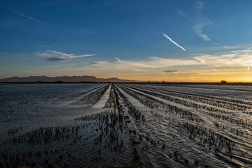 Sunset around the Albufera of Valencia (Spain)
