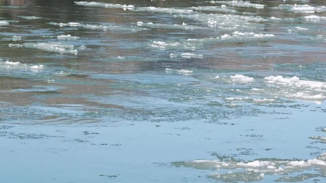 Drifting ice on broad river. Melting blocks quickly float on the water on sunny day