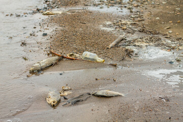 Plastic pollution on the beach. Ecological problem. Global warming