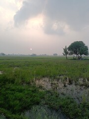 Serene Village Sunrise Over Lush Green Fields.