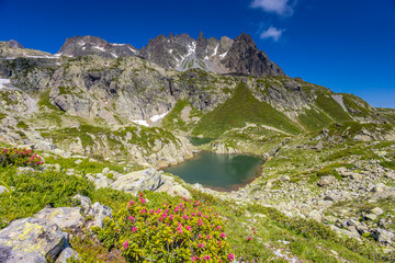 Lake in the Alps. Beautiful clear turquoise water lake in Chamonix Mont Blanc valley in French...