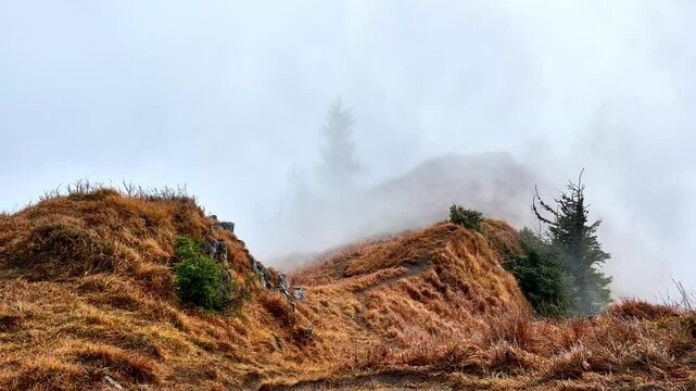 misty clouds flow like a sea in the mountains