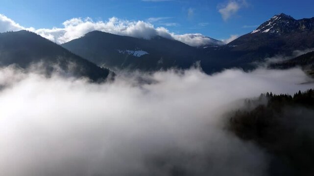 aerial view of a misty forest