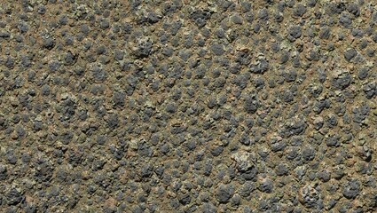 Close up of a toads textured skin showing bumpy wart like nodules in shades of green brown and gray