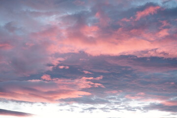 Pink clouds