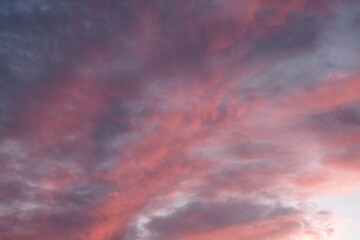 pink clouds