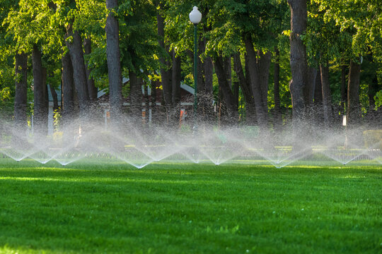 Automatic splinker irrigation system with water sprayer for the lawn. Watering a green lawn in a park or city garden