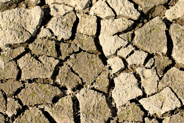 Cracked soil pattern due to severe drought