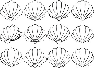 Black And White Seashell With The Picture Of SeaShell It