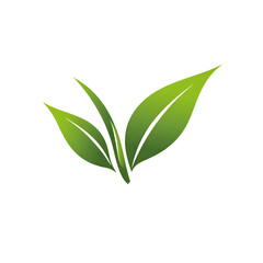 Minimalistic Tea Leaf Logo with Curved Lines and Soft Detailing