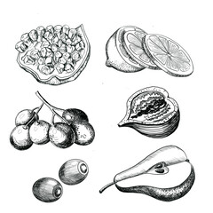 hand drawn illustrations of fruits,Black and white, graphic illustration