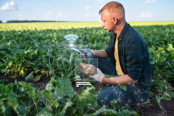 Smart farming of Sugar beet with agricultural AI technology